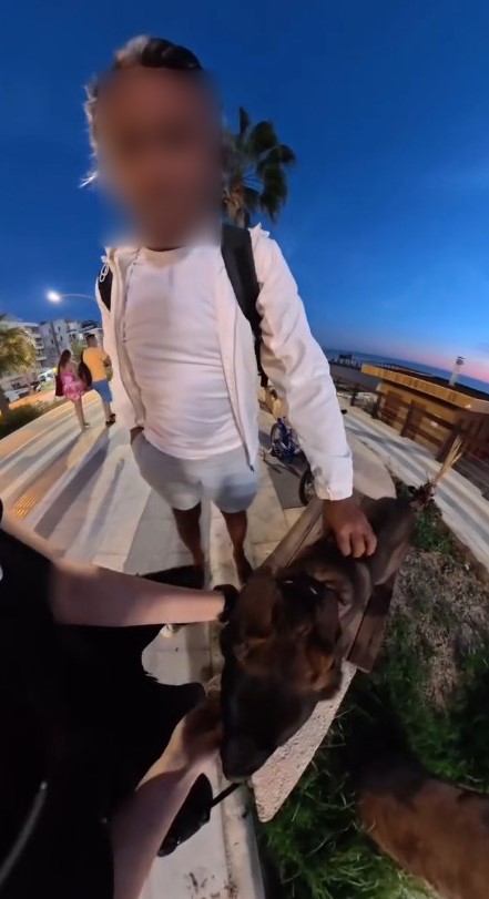 Bankta köpeğiyle oturan yerleşik yabancı kız çocuğu hayatının şokunu yaşadı 7 bankta kopegiyle oturan yerlesik yabanci kiz cocugu hayatinin sokunu yasadi 3 3gTCBMIp