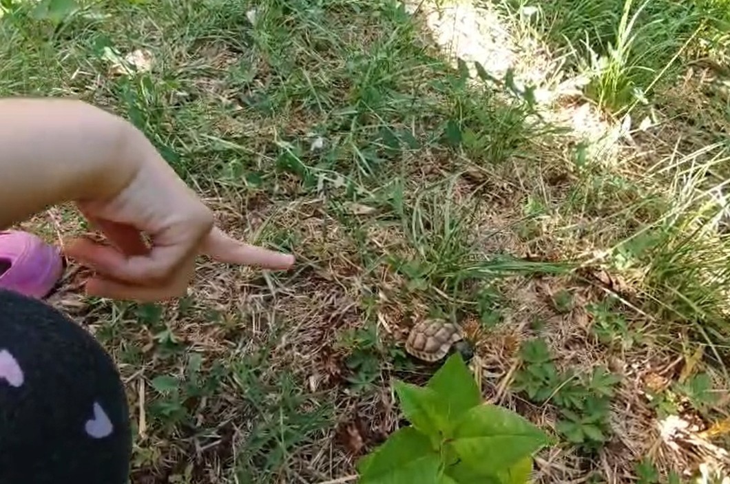 bartinda asma tavandan gelen ses korkusu surpriz sonla bitti 0 VIme6HVs