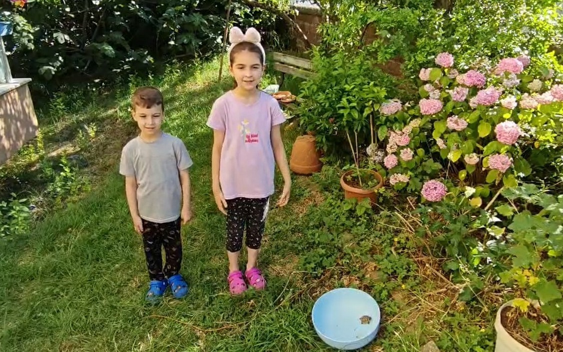bartinda asma tavandan gelen ses korkusu surpriz sonla bitti 1 Yw7G8nVE