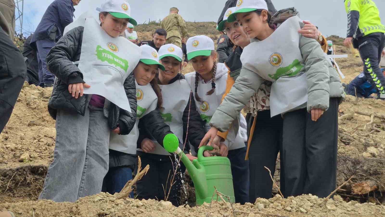 bartinda gecen yil yanan ormana 400 fidan dikildi 1 4iAAYZm4
