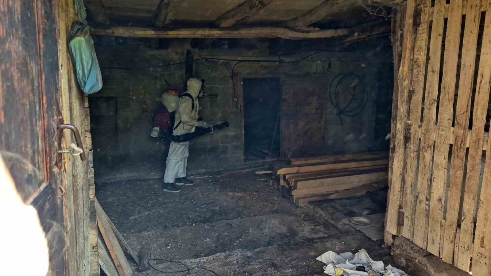 bartinda kahverengi kokarca kis uykusunda yok edilecek 1