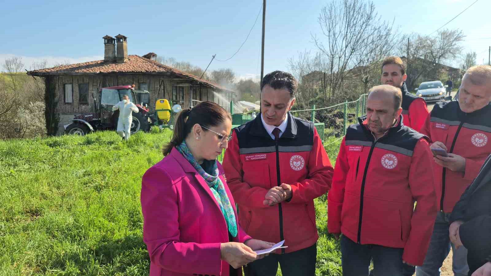 bartinda kahverengi kokarca kis uykusunda yok edilecek 3 WR4MMnNT