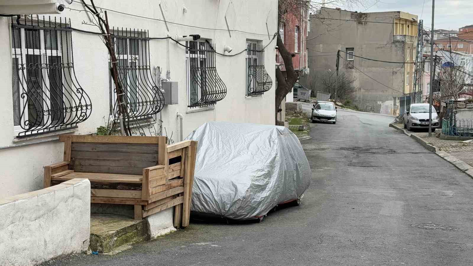 basaksehirde basibos kopeklerin saldirdigi kedi oldu 2 Qpla1adb