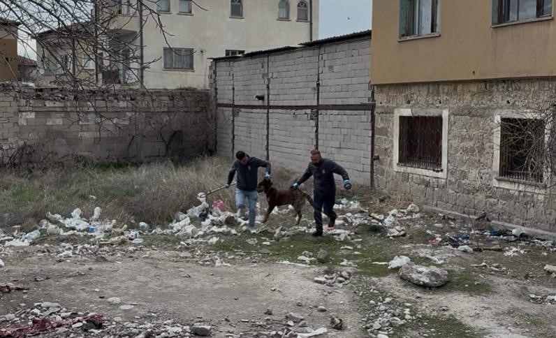 basibos kopegin saldirdigi 3 yasindaki cocuk agir yaralandi 4 U8SNmOs4