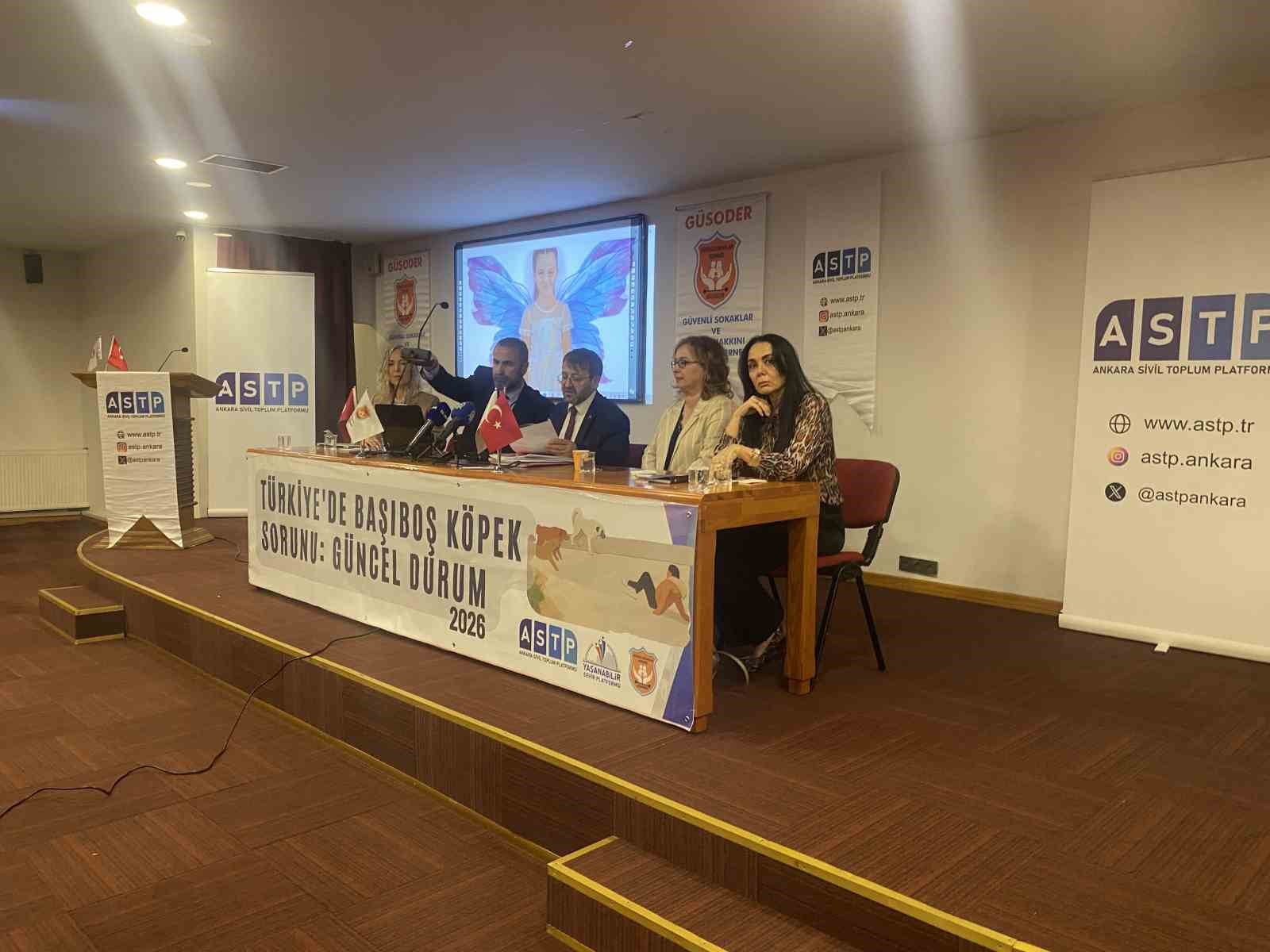 basibos kopek magdurlari panelde bulustu 1 AqZMS8Nj