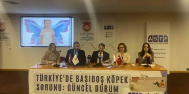 basibos-kopek-magdurlari-panelde-bulustu-2RcXbBnR.jpg