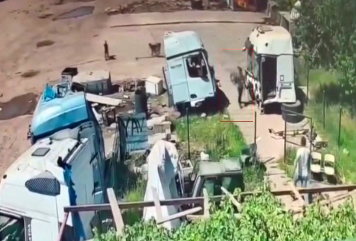 basibos kopekler once kucuk cocuga simdi de yasli adama saldirdi 1 ychUTO3j