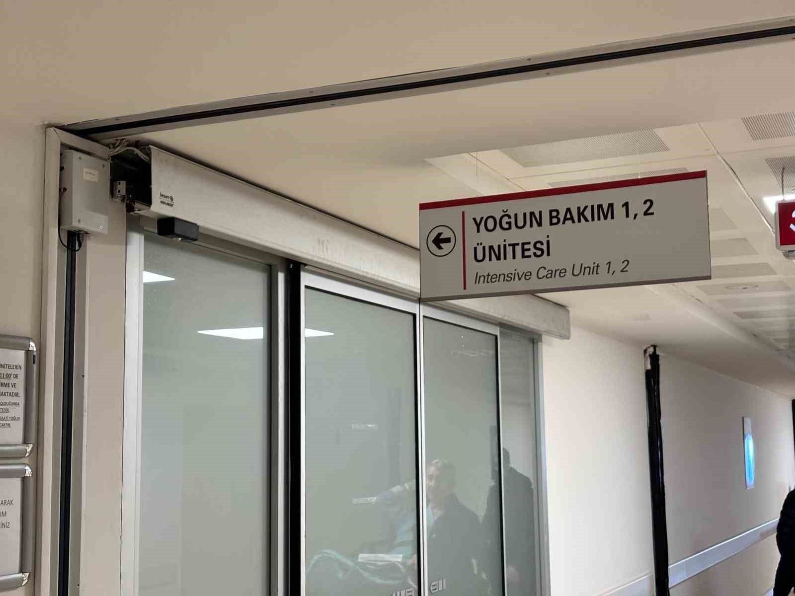 basibos kopekler tehlike saciyor 5 ZjY1qJ33