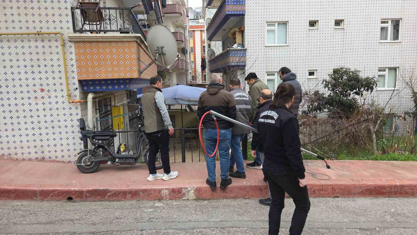 basibos sokak kopekleri toplanarak barinaga goturuldu 3 5mRe4UZl