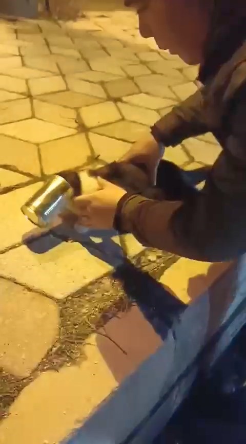 basina konserve sikisan kedi kurtarildi 1