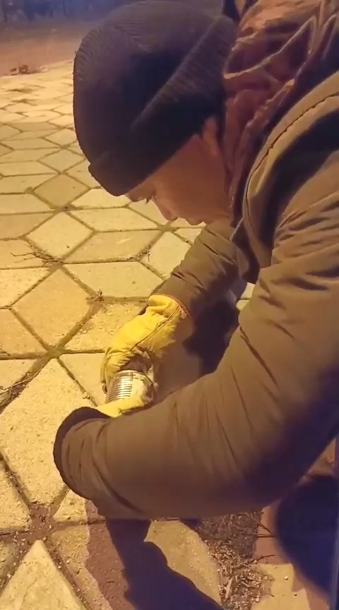 basina konserve sikisan kedi kurtarildi 2 OnIyMSbp