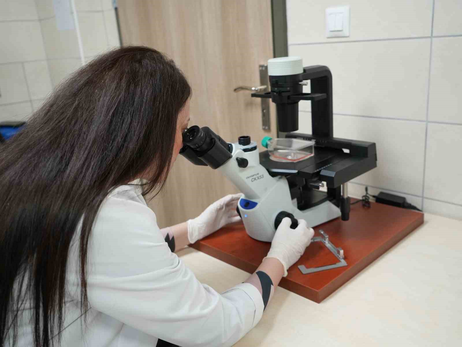 basinc ulseri tedavisinde kastamonu ormanlarinda yetisen mantarlar sifa olacak 5 BL5JlQCb
