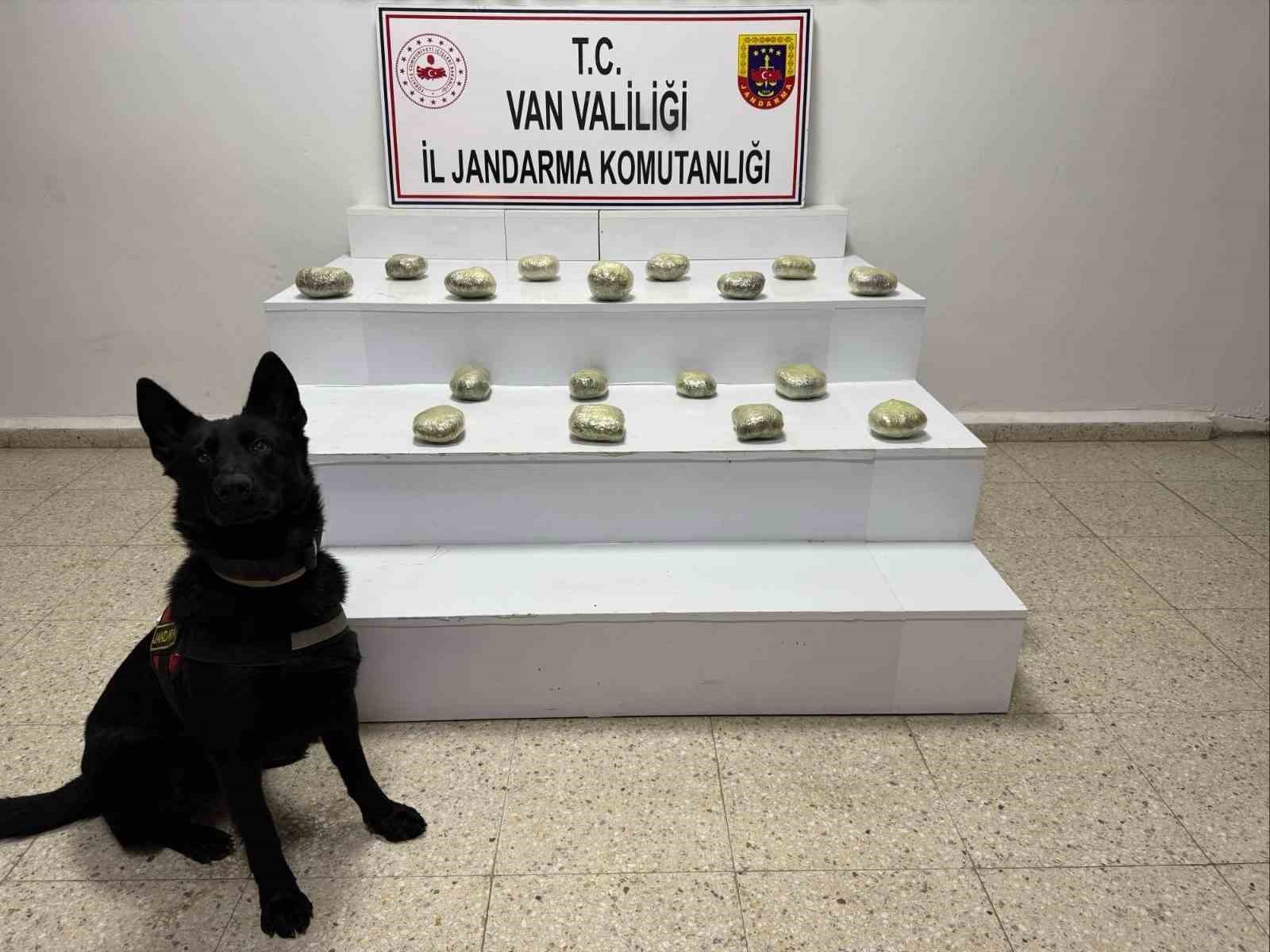 baskalede 20 kilo 250 gram toz esrar maddesi ele gecirildi 0 bs4EUWZH