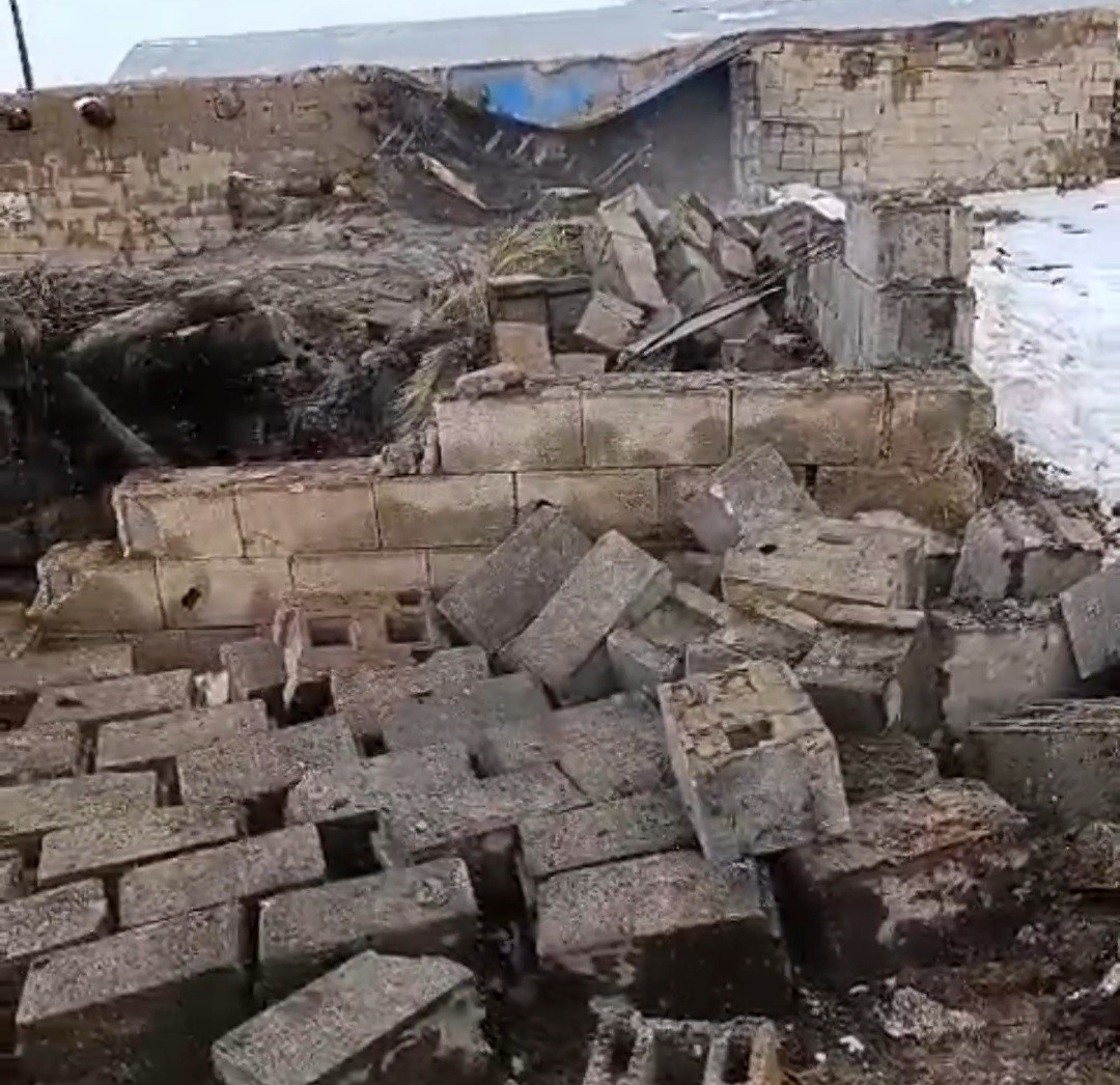 baskalede ahir coktu 20 kucukbas hayvan gocuk altinda kaldi 1