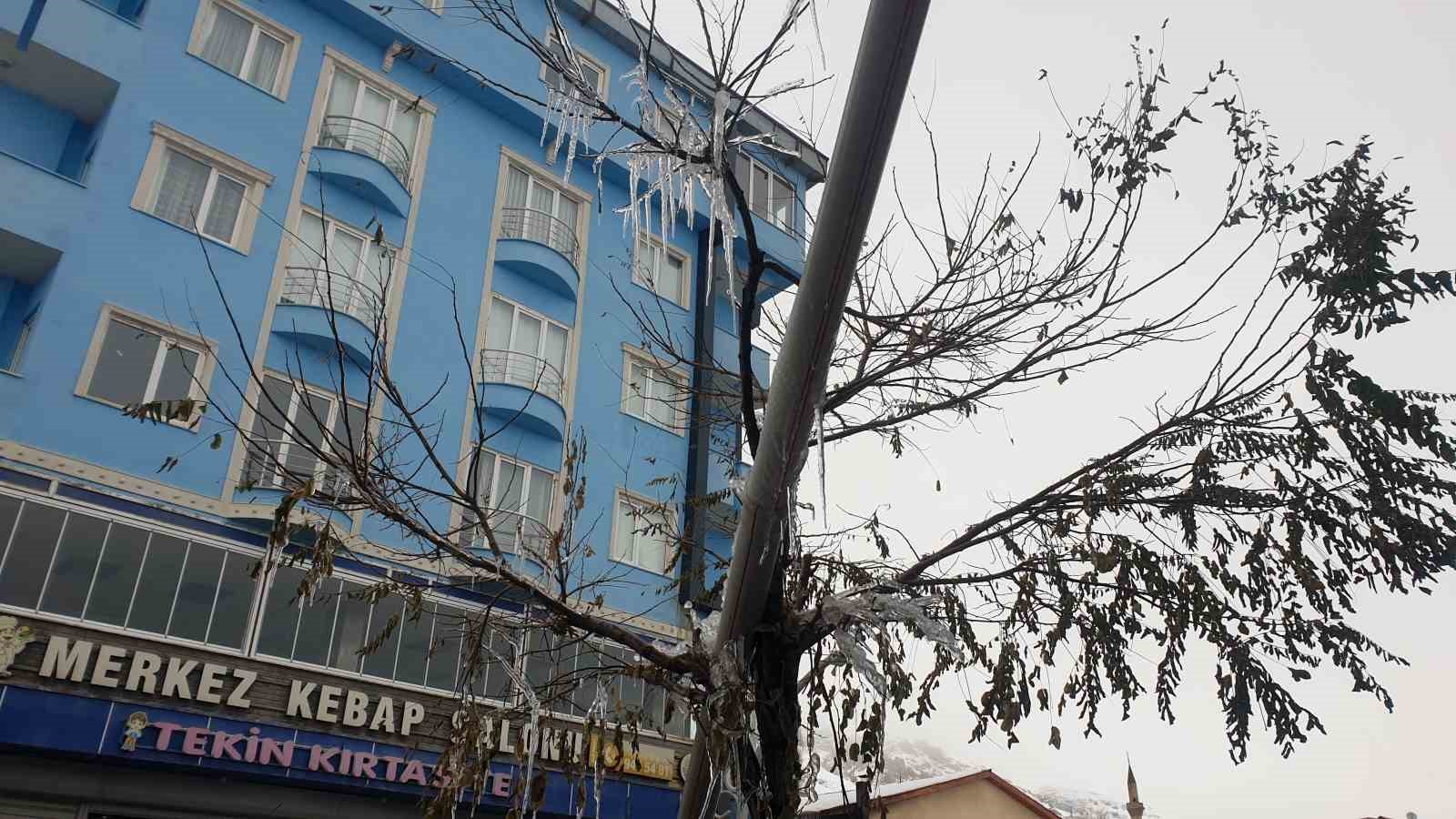 baskalede soguk hava catilari dondurdu 9 mTrW1wuh