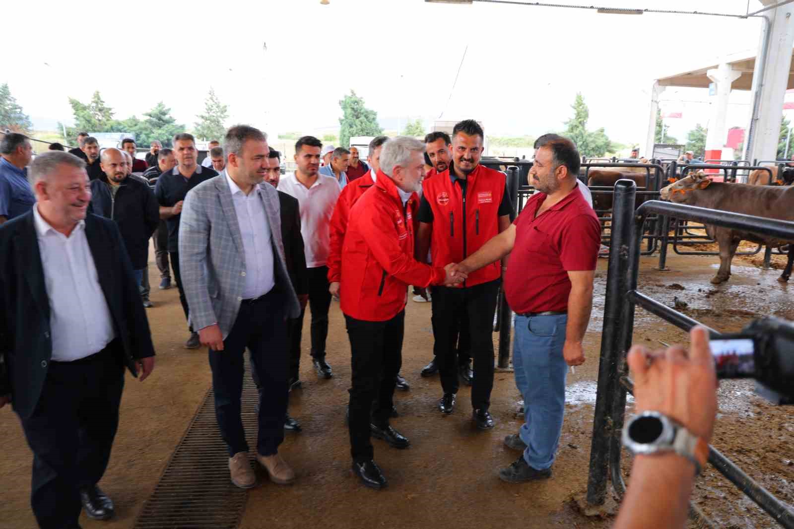 baskan gorgel 8 bin 250 kucukbas 200 buyukbas hayvan satista 1 ZaNvWH6N