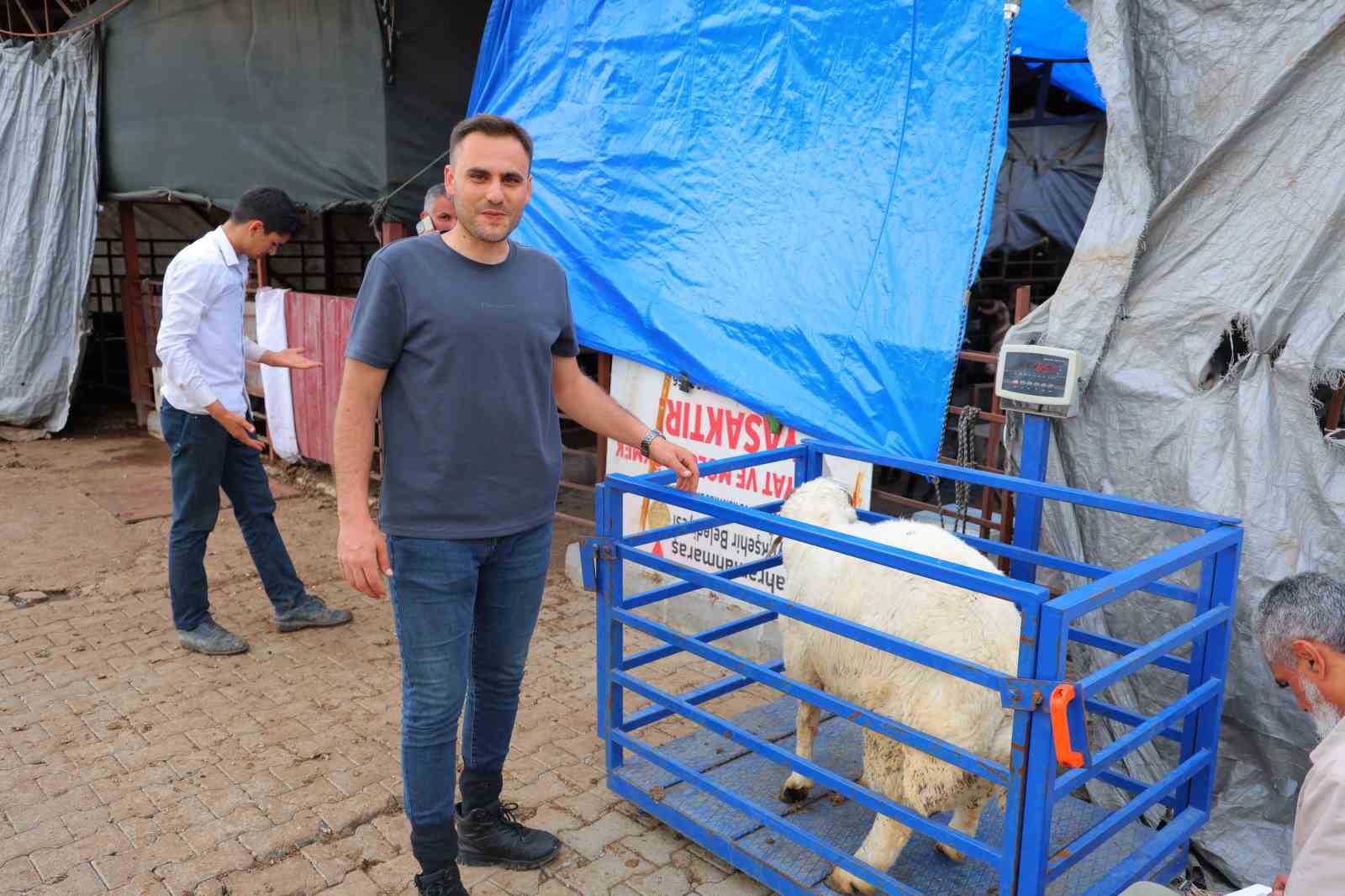 baskan gorgel 8 bin 250 kucukbas 200 buyukbas hayvan satista 4 CISflcEv
