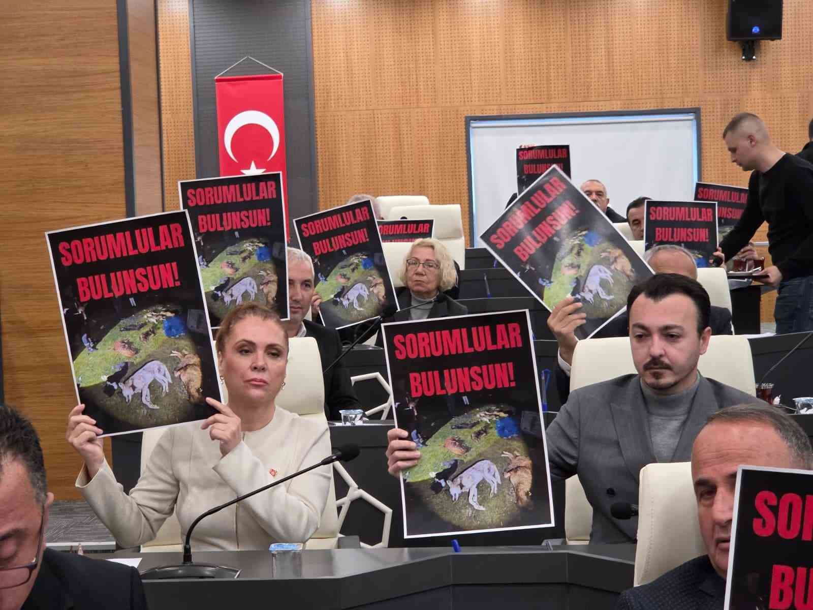 baskan kurnaz maksat hayvan sevmek degil siyaset yapmak 5 9guHXF7M