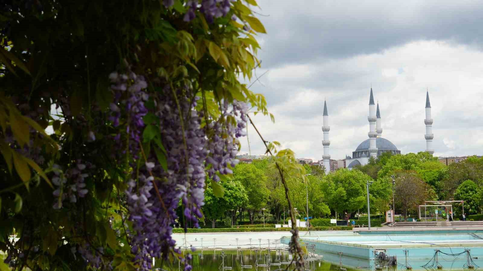 baskente baharin gelmesiyle sumbuller genclik parkini renklendirdi 2 6YXkvs8I