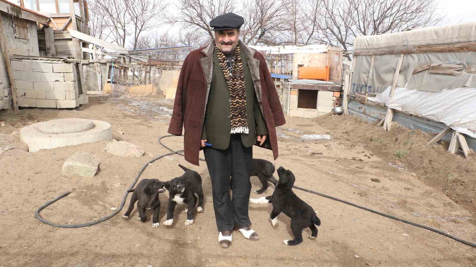 baskentin siyah bekcileri haymana karasi 1 g9qam8rL