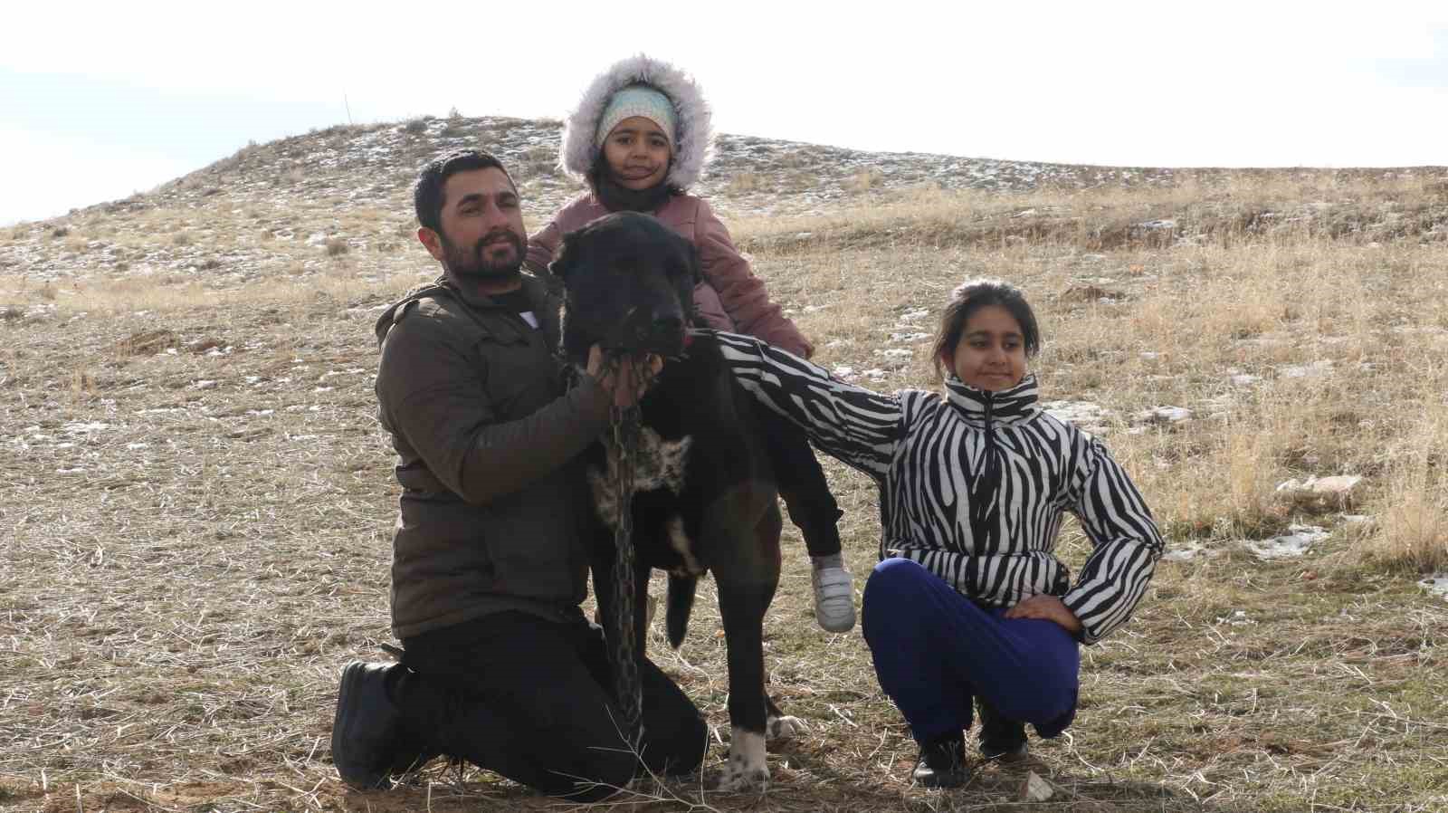 baskentin siyah bekcileri haymana karasi 16
