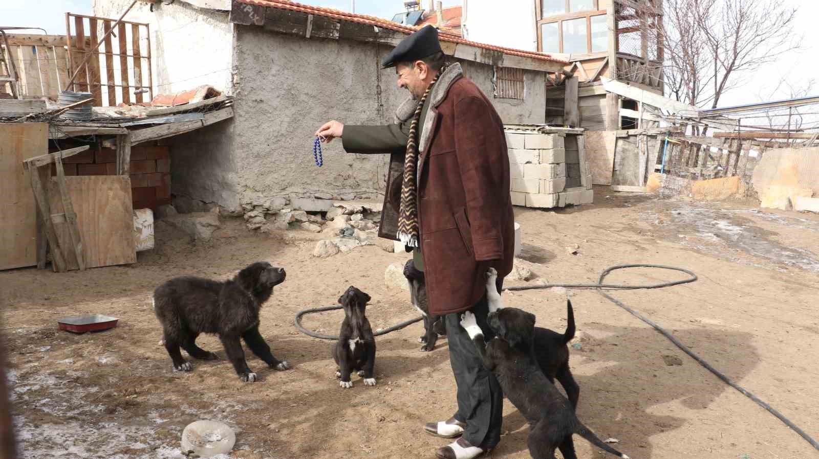 baskentin siyah bekcileri haymana karasi 2 FCRHGMAb