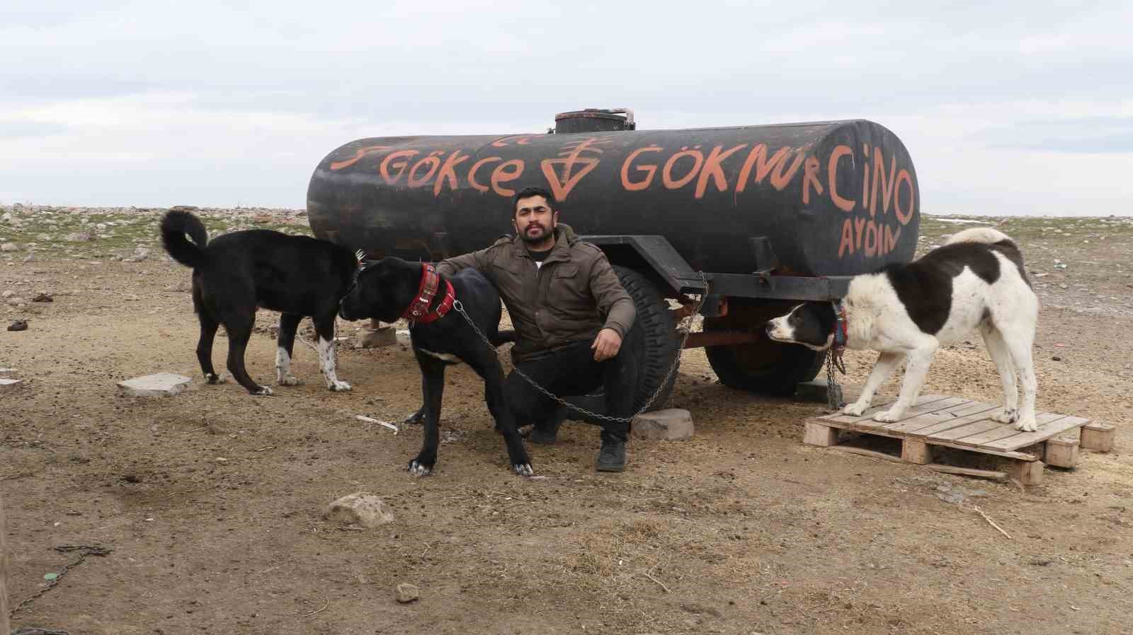 baskentin siyah bekcileri haymana karasi 27 aGJrMNZG
