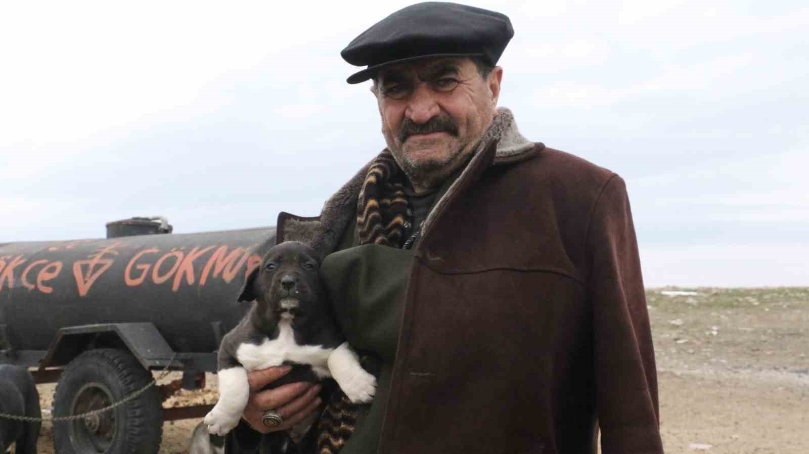 baskentin siyah bekcileri haymana karasi 28 jj2nXaQF