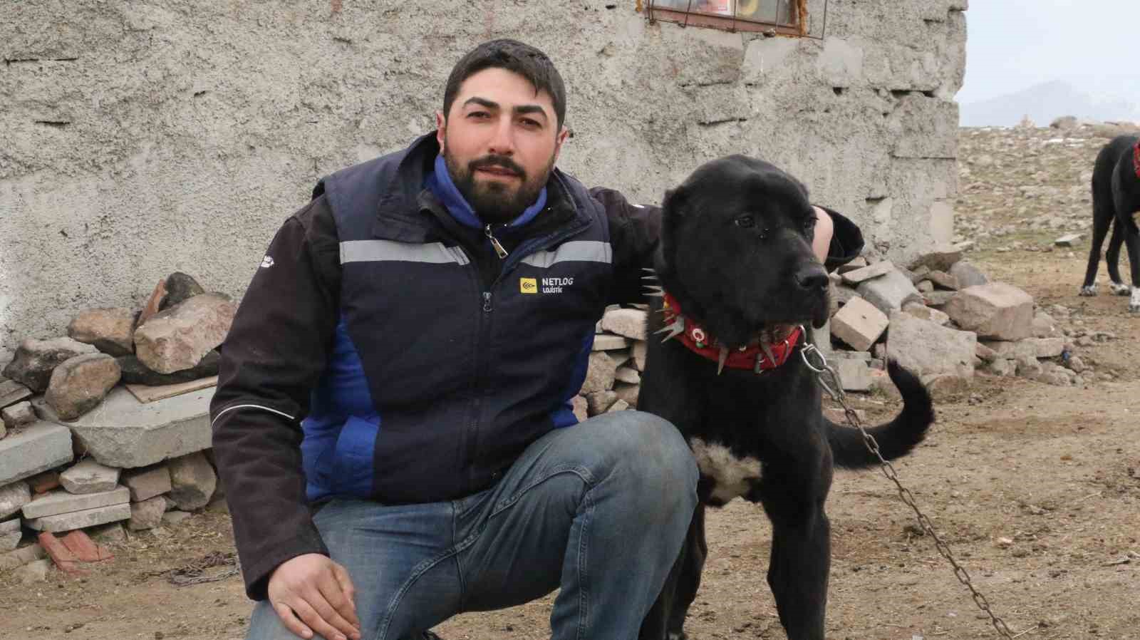 baskentin siyah bekcileri haymana karasi 34