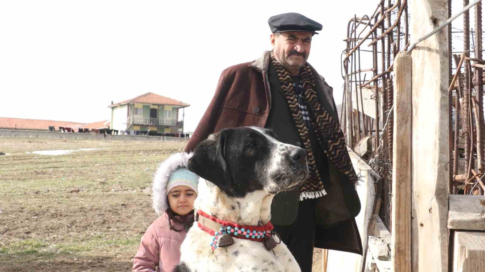 baskentin siyah bekcileri haymana karasi 7 XC7n58T2