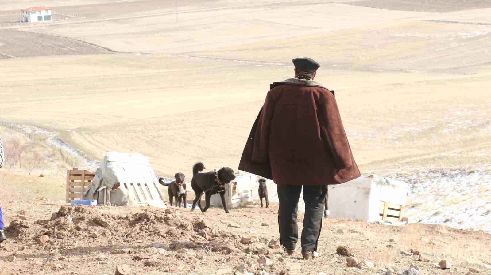 baskentin siyah bekcileri haymana karasi 8 7ywPpc7i