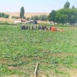 baskentte-egitim-helikopteri-dustu-2-yarali-Aug9zYsS.jpg