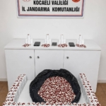 baskinda-25-bin-500-sentetik-hap-ele-gecirildi-XeFkcELK.jpg