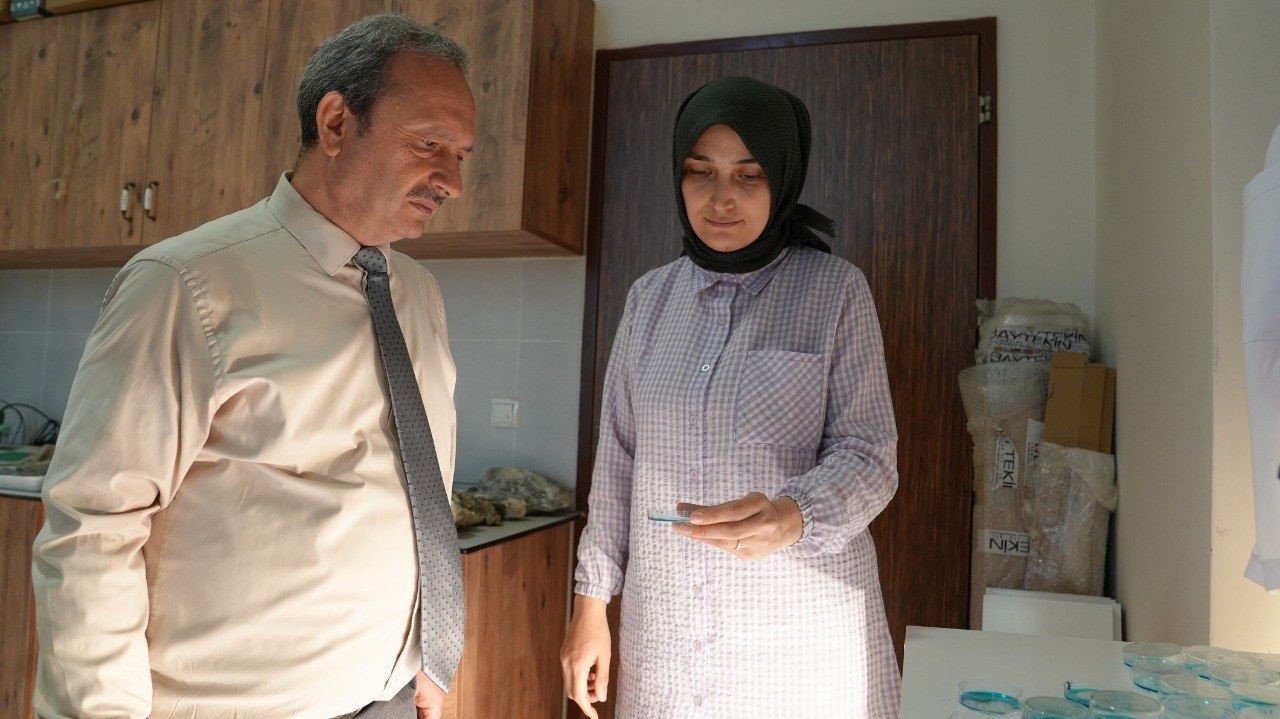 bati karadeniz orman fidanliklarinda toprak canlilari ilk kez arastiriliyor 4 OGmvtGVH