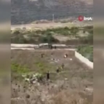 bati-seriada-ayni-aileden-4-filistinli-infaz-edildi-ypbsKBhY.jpg