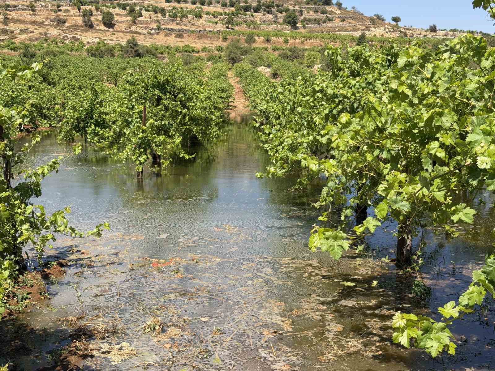 bati seriadaki israilli yerlesimciler filistinlilerin tarim arazilerine kanalizasyon atigi birakti 0 aJfBj1yD
