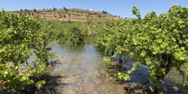 bati-seriadaki-israilli-yerlesimciler-filistinlilerin-tarim-arazilerine-kanalizasyon-atigi-birakti-FaiFkpXm.jpg