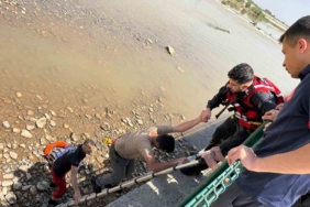 Kırmızı bültenle aranıyordu Bodrum’da kıskıvrak yakalandı 1 thumbnail