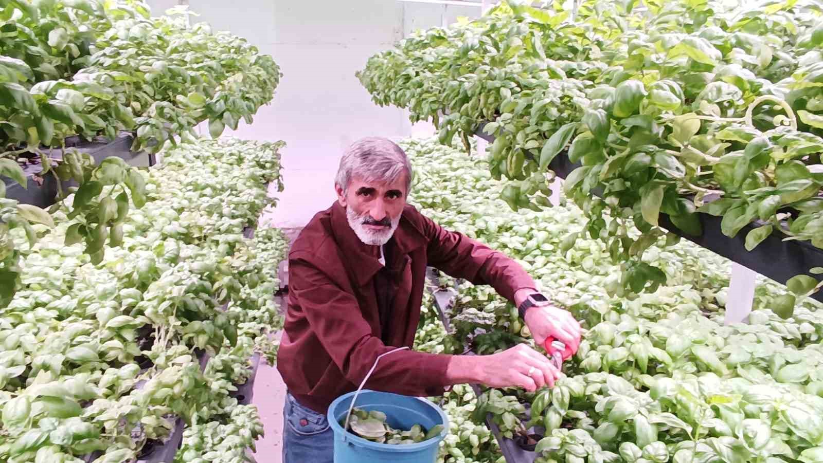 batmana eksi birinci katta 30 milyonluk dikey tarim yatirimi 2