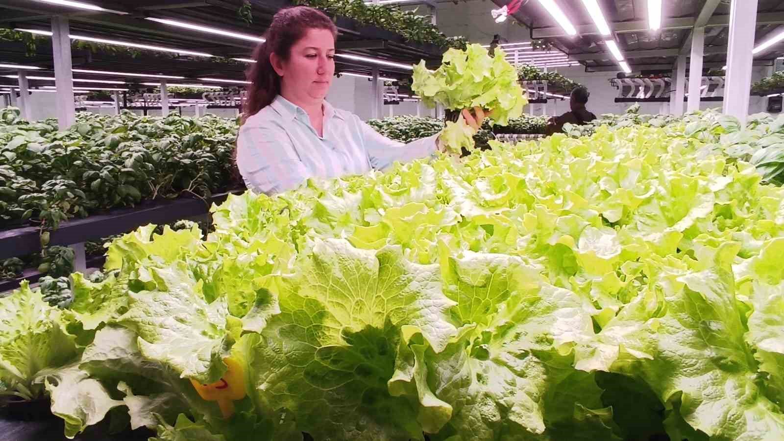 batmana eksi birinci katta 30 milyonluk dikey tarim yatirimi 5 vkV422ID