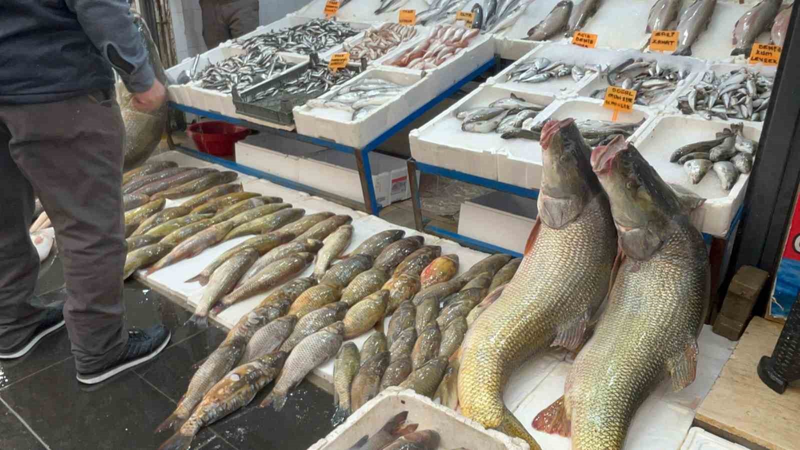 batmanda 120 kiloluk dev turna baligi gorenleri hayrete dusurdu 0 ip5U8IUa