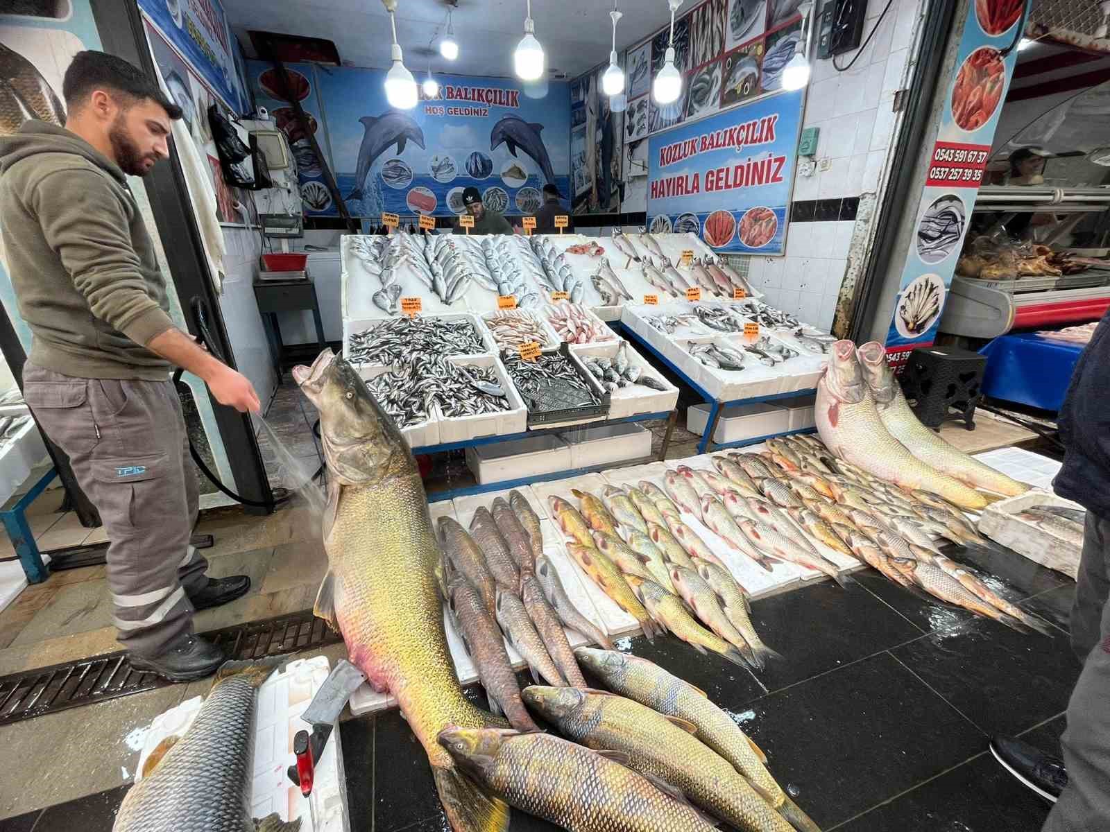 batmanda 120 kiloluk dev turna baligi gorenleri hayrete dusurdu 1 rAShCHnl