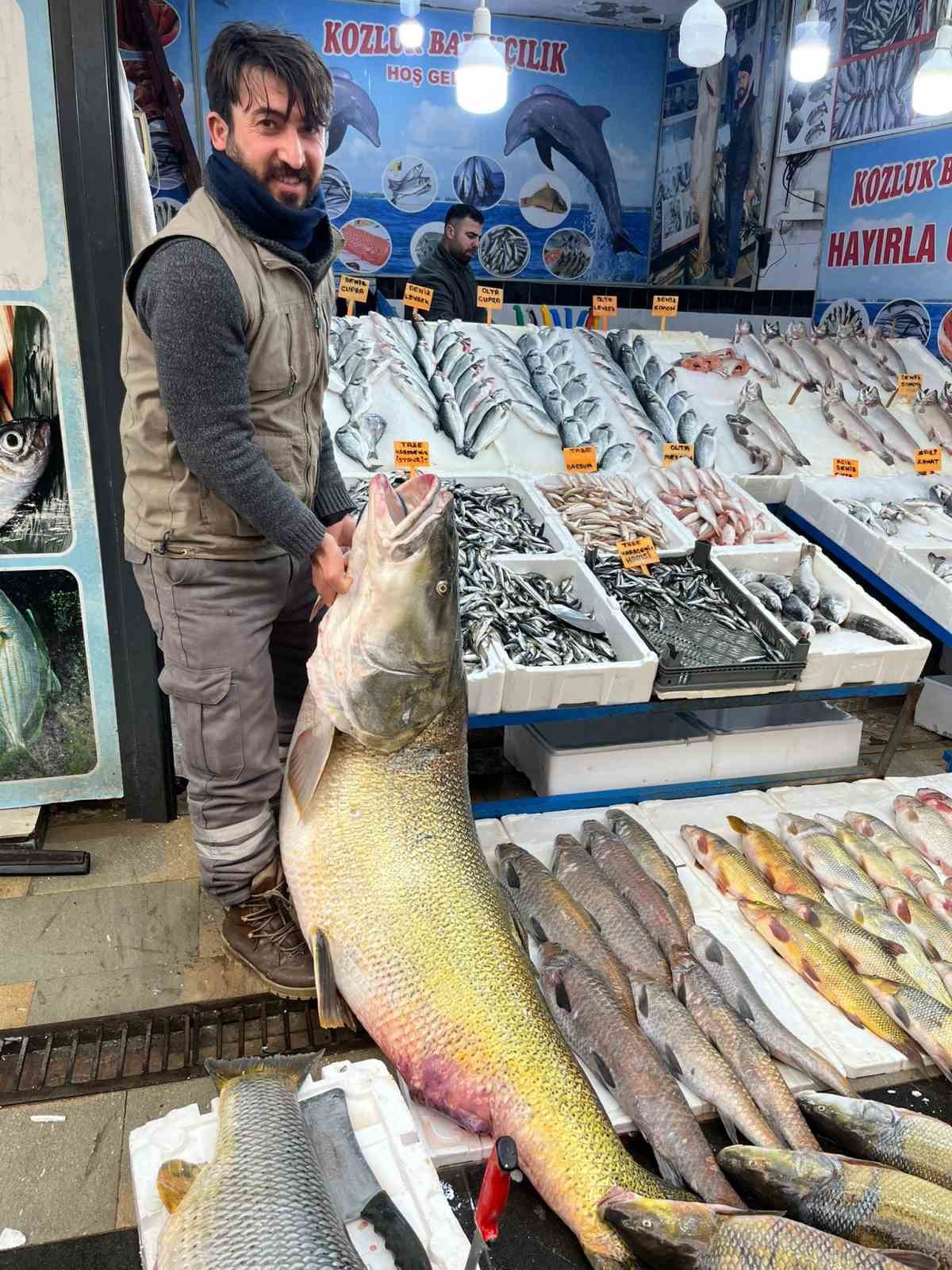batmanda 120 kiloluk dev turna baligi gorenleri hayrete dusurdu 4 dNw3cnbG
