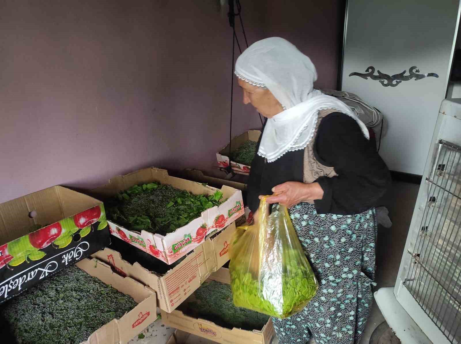 batmanda 72 aileye ipek bocegi larvasi dagitildi 0 hGKVBpXu