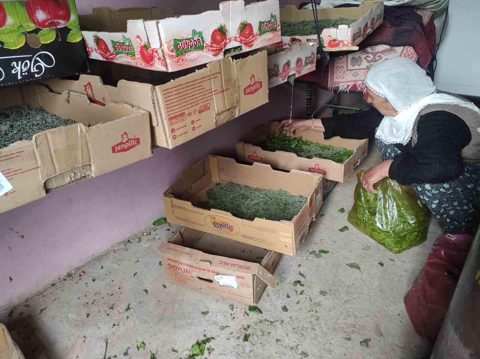 batmanda 72 aileye ipek bocegi larvasi dagitildi 3 CEQPBdhq