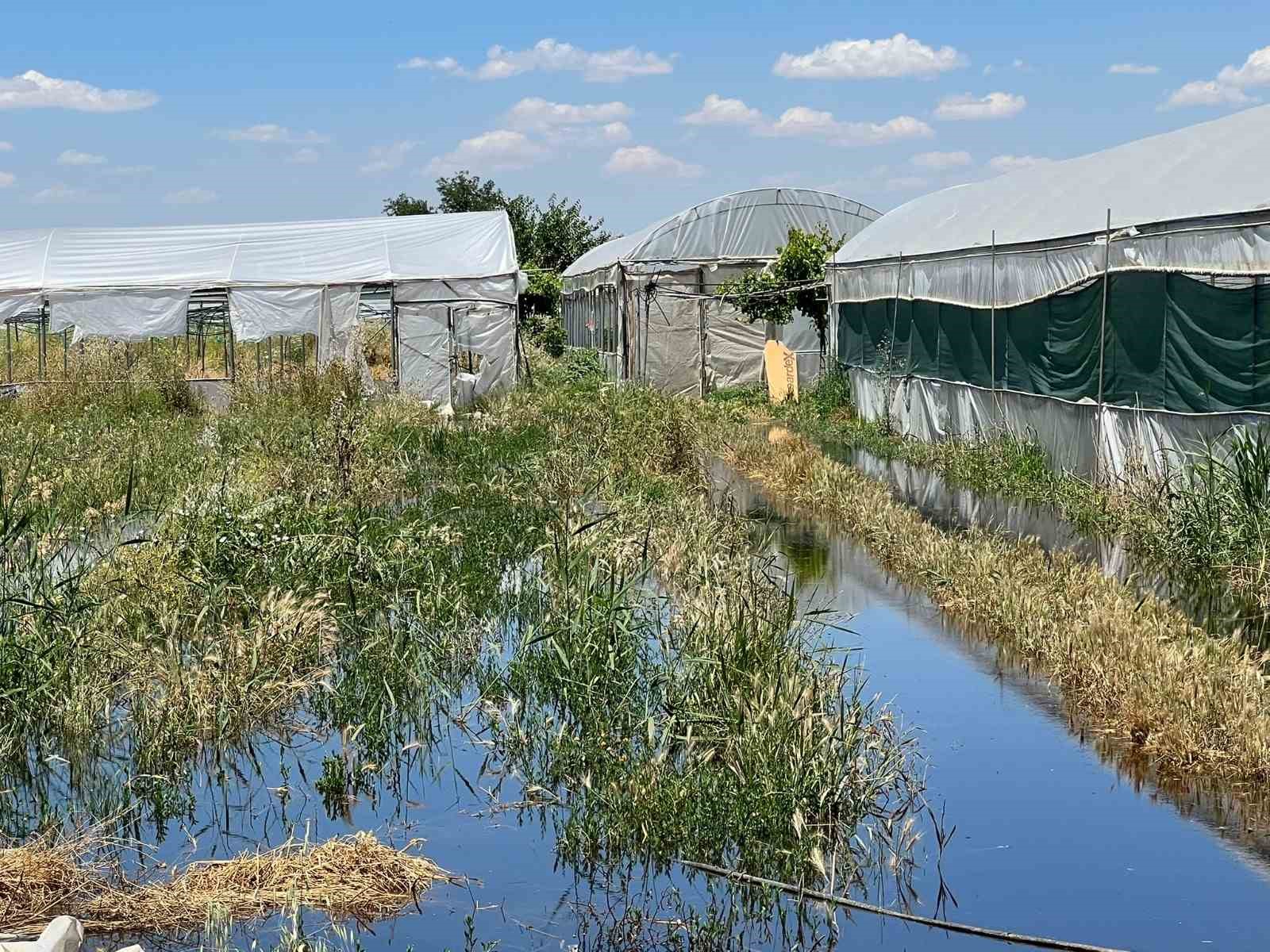batmanda asiri yagislar seralari vurdu milyonlarca liralik zarar olustu 1 eeYaEj4P