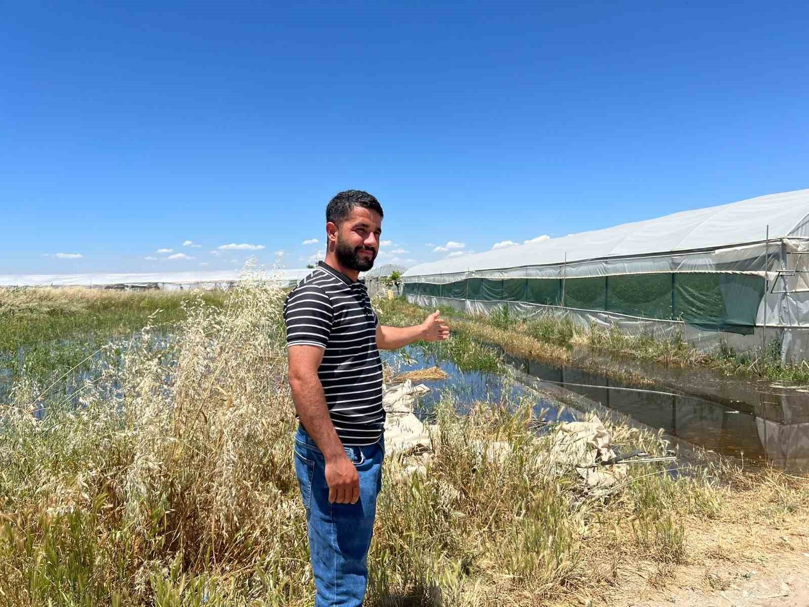 batmanda asiri yagislar seralari vurdu milyonlarca liralik zarar olustu 2 bBiNNWvl