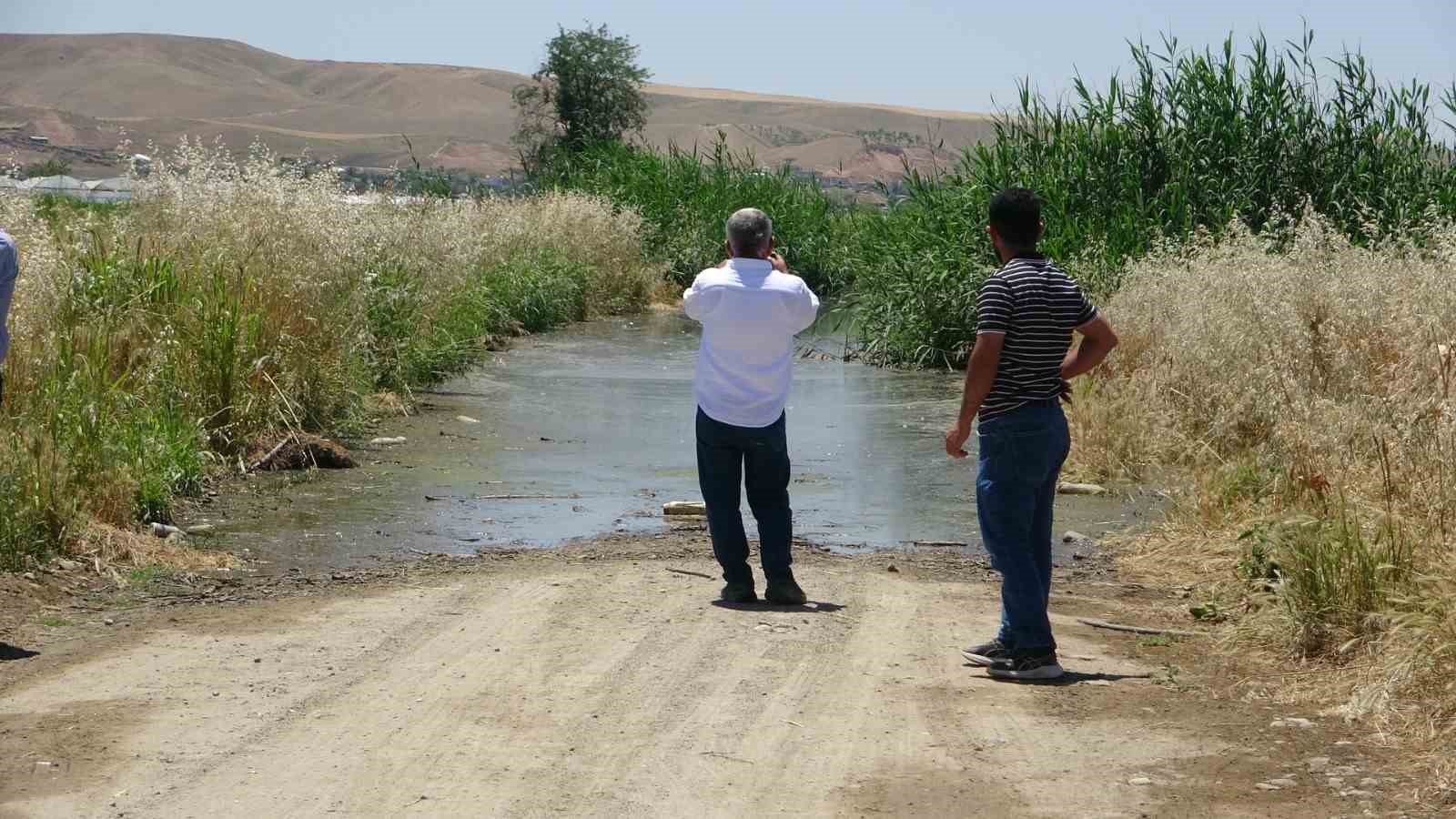 batmanda asiri yagislar seralari vurdu milyonlarca liralik zarar olustu 4 lBC1bOYa