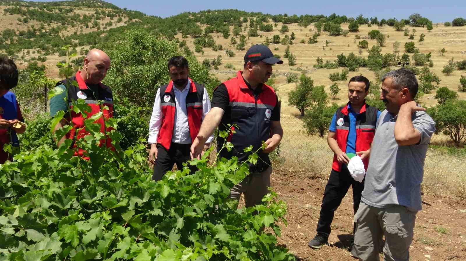 batmanda bag ve antep fistigi bahcelerine tahmin ve erken uyari sistemi kuruldu 0 ZdcIWJlX