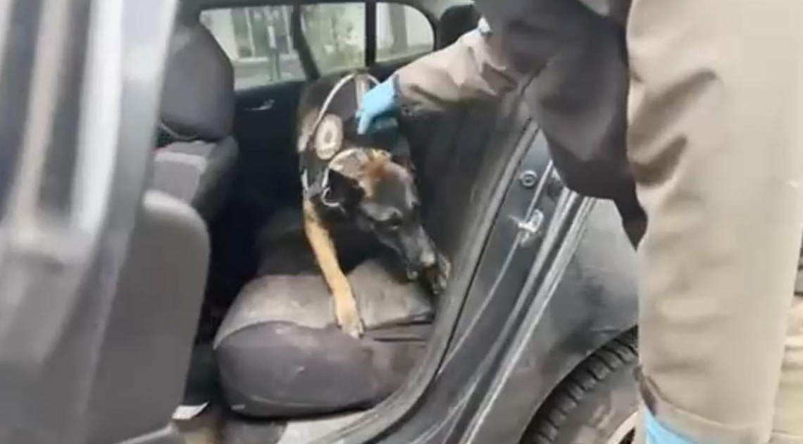 Batman’da bir otomobilde 56 kilo esrar ele geçirildi 5 batmanda bir otomobilde 56 kilo esrar ele gecirildi 1 N49FFeOA